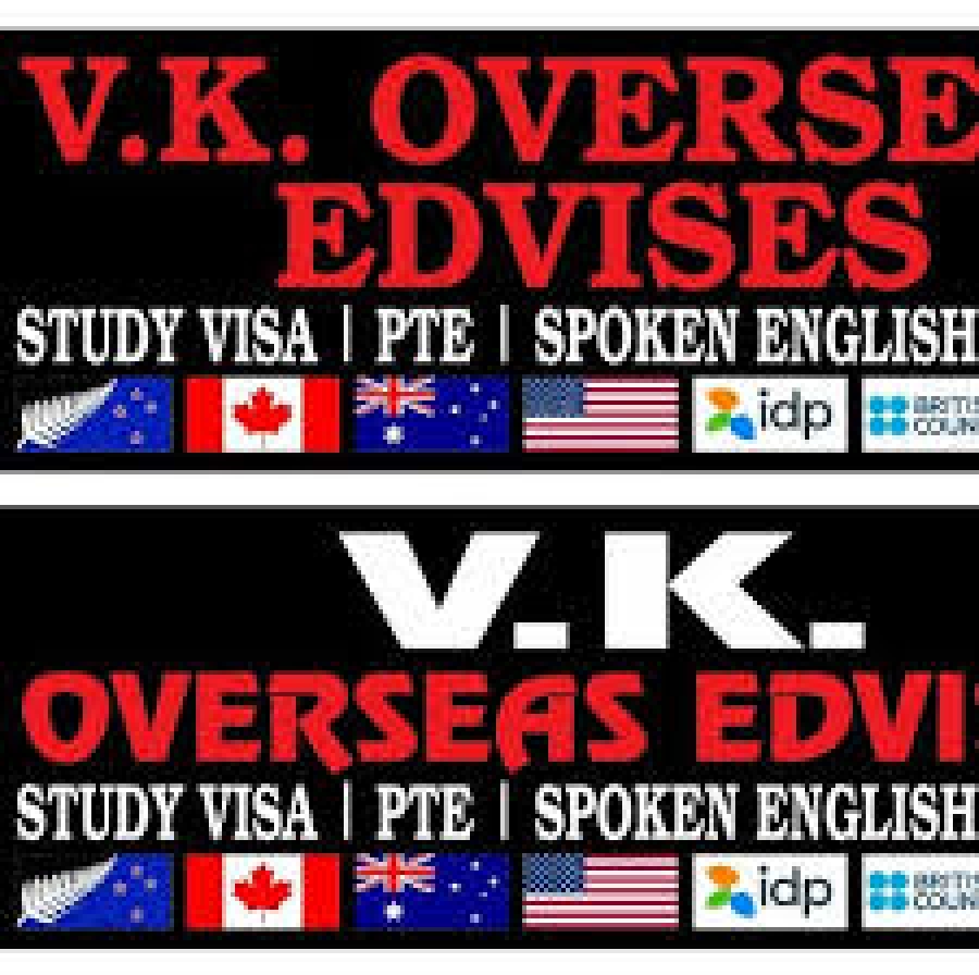 VK OVERSEAS EDVISES